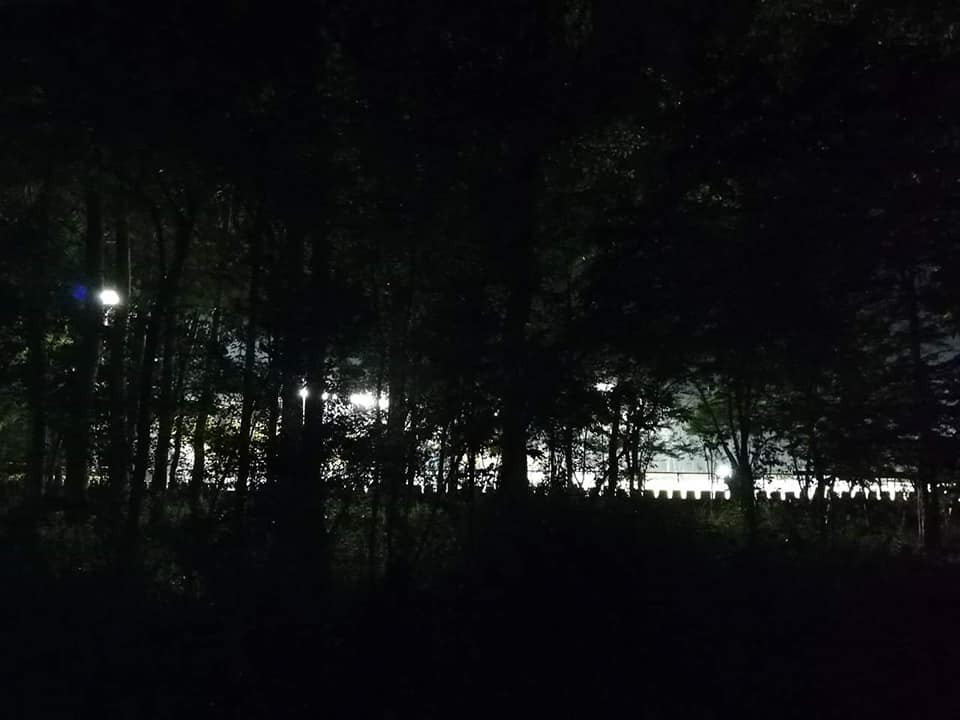 Nhiều CĐV đã từng miêu tả lối vào sân Panaad chẳng khác gì lạc vào rừng rậm khi phải vượt qua con đường bê tông khá bé giữa rừng bạch đàn bạt ngàn.