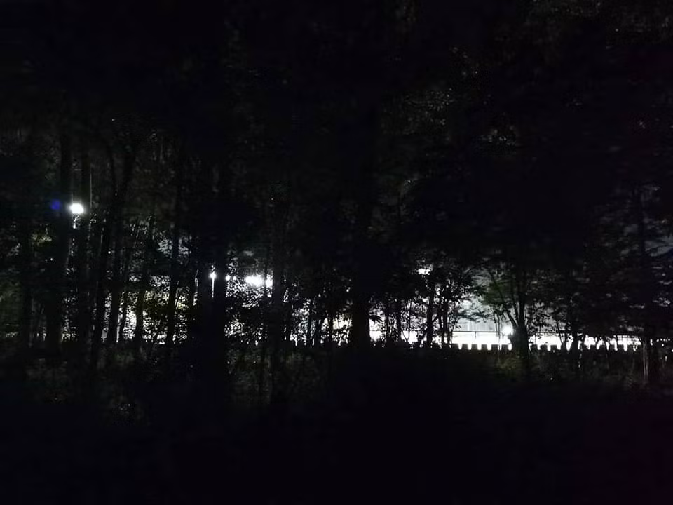 Nhiều CĐV đã từng miêu tả lối vào sân Panaad chẳng khác gì lạc vào rừng rậm khi phải vượt qua con đường bê tông khá bé giữa rừng bạch đàn bạt ngàn.