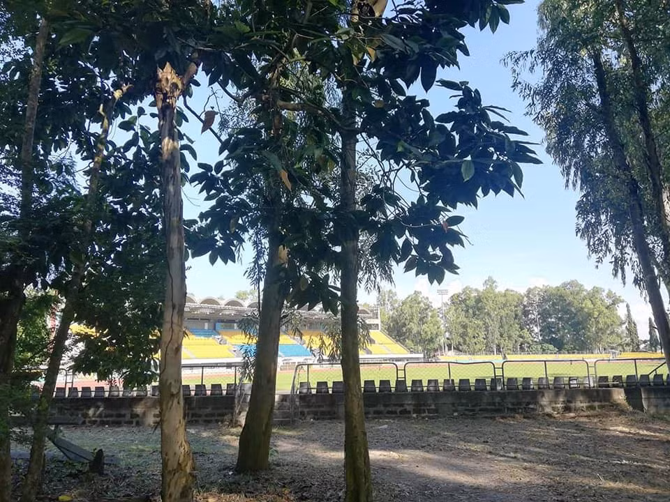 Khác với các SVĐ trong khu vực ĐNÁ, Panaad là sân vận động đặc biệt nhất AFF Cup 2018 nhưng không phải nhờ kiến trúc xây dựng hay mặt cỏ mà nhờ nó nằm giữa cánh rừng rộng 25 hecta.