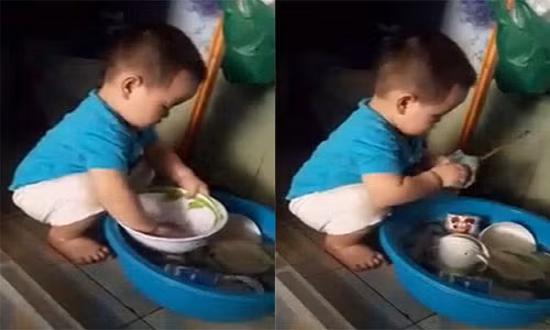 Xuat hien “thanh rua bat” 2 tuoi lam dan mang phat cuong