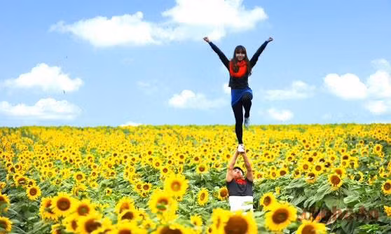 Địa điểm đầu tiên được nhiều bạn trẻ tìm đến để ngắm hoa hướng dương đó là tại Nghệ An. Nằm ở huyện Nghĩa Đàn cách thành phố Vinh khoảng 95 km, cánh đồng hoa hướng dương này thuộc khuôn viên của nhà máy sữa TH True Milk. Ảnh: Báo Nghệ An.