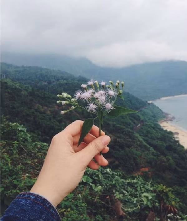 Men phía Nam là đèo Hải Vân "đệ nhất hùng quan", phía Bắc là đèo Phú Gia ẩn hiện. Bên dưới là vịnh Lăng Cô với bãi biển cát trắng mịn, kéo dài hòa lẫn trong làn nước xanh biếc khiến bạn phải "yêu ngay từ cái nhìn đầu tiên".