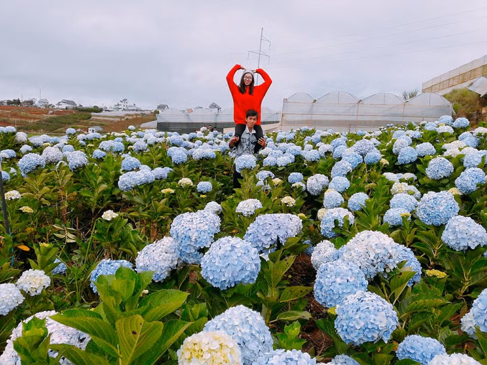 Những khoảnh khắc ngọt ngào trong mỗi chuyến đi và những hình ảnh đẹp mà cặp đôi Việt Dương và Ngọc Trinh có được khiến nhiều người phải ghen tỵ.