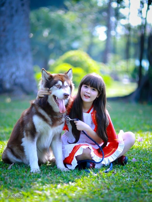 Mới đây, bộ ảnh cô bé quàng khăn đỏ của 9X xinh đẹp tên Anh Thư khiến nhiều cư dân mạng phải trầm trồ khen ngợi vẻ đẹp trong sáng và lối diễn xuất hồn nhiên của cô bé này. Ảnh: Mr. Yellow.