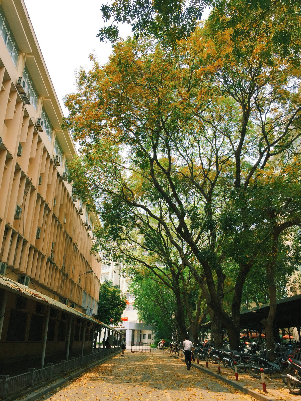 Qua bao lần đổi máy ảnh và điện thoại nhưng chỉ có niềm đam mê chụp ảnh và tình yêu to lớn với trường đại học vẫn luôn thôi thúc sinh viên khoa Luật - Đình Hoàng tiếp tục chụp, không nỡ xóa đi bất cứ kiểu nào trong album ảnh "Đời sinh viên".