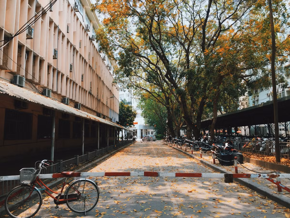 Không ít người xem xong bộ ảnh cảm thấy tiếc nuối, tiếc cho quãng thời gian sinh viên trôi qua nhanh quá mà chưa kịp chụp nhiều ảnh để giờ chẳng còn mấy kỉ niệm để mà bồi hồi.