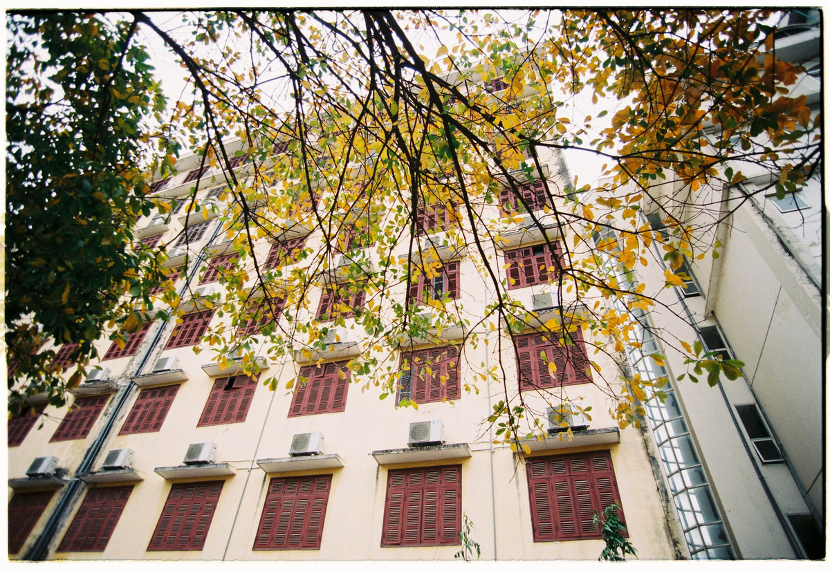 Những bức ảnh hơn nửa được Đình Hoàng chụp vu vơ bằng chiếc điện thoại, theo chân cậu bạn suốt những năm tháng đại học và có lẽ mãi mãi về sau, những năm tháng sinh viên dưới mái trường Đại học Quốc gia Hà Nội.