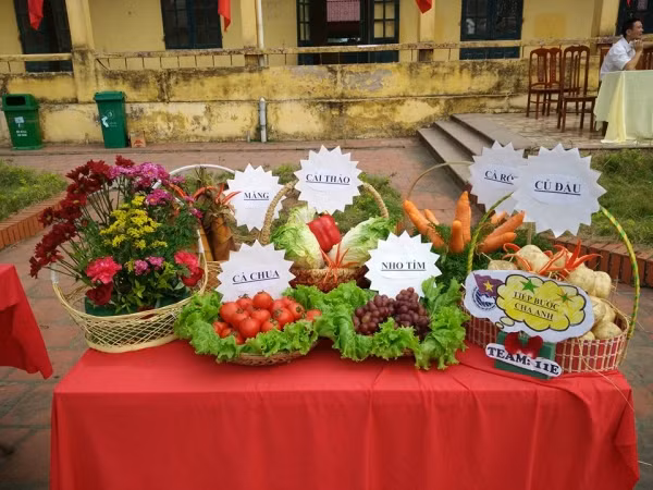 Không phải màu sắc vốn có như như hầu hết các con vật sinh sống ngoài đời, chúng không theo một quy luật nào chỉ theo sự sáng tạo của các bạn học sinh.