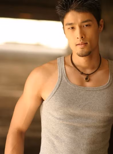 Vẻ phong trần, lãng tử từng cướp đi bao ánh mắt của hàng triệu cô gái trẻ.