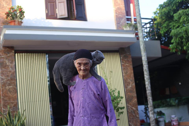 Một vài tấm hình khác, cụ bà phối hợp diễn xuất cùng con mèo.