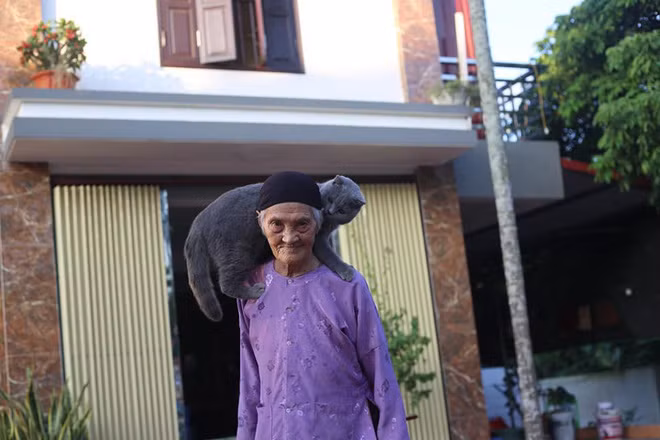 Một vài tấm hình khác, cụ bà phối hợp diễn xuất cùng con mèo.