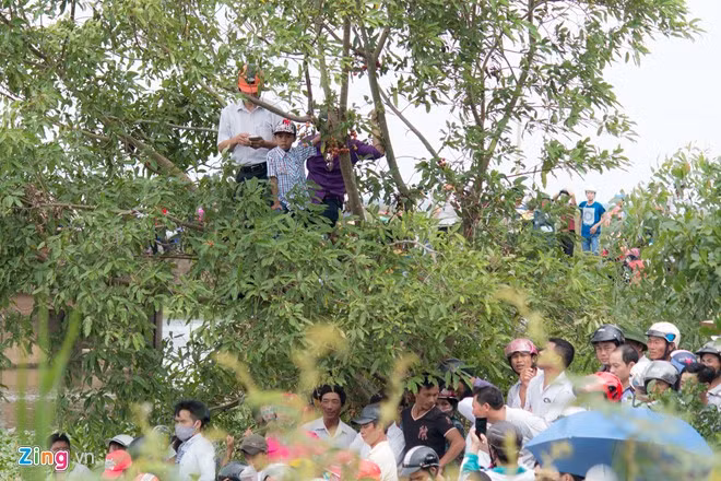 Những người đến muộn phải trèo lên cây cao ở hai bờ sông để xem các đội thi đấu.