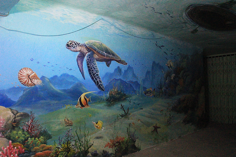 Còn về phía đại diện những họa sĩ thực hiện bức bích họa tại khu tập thể Phụ nữ Trung ương - Anh Nguyễn Thanh Tuyên chia sẻ: "Thời tiết Hà Nội ẩm ướt khiến màu lâu khô đã ảnh hưởng nhiều đến việc vẽ tranh của chúng tôi. Để hoàn thành một bức tranh, chúng tôi mất từ 3 đến 5 ngày tùy theo diện tích lớn, nhỏ".