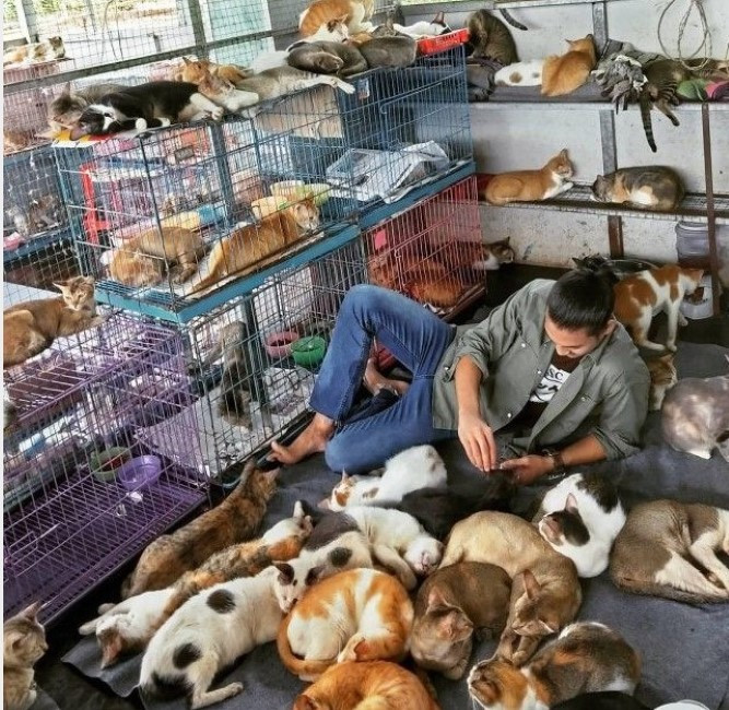 Không ít người hâm mộ nữ đã đổ gục chỉ sau khi nhìn thấy một bức ảnh đầy thần thái của Paing Takhon được chia sẻ trên trang cá nhân.