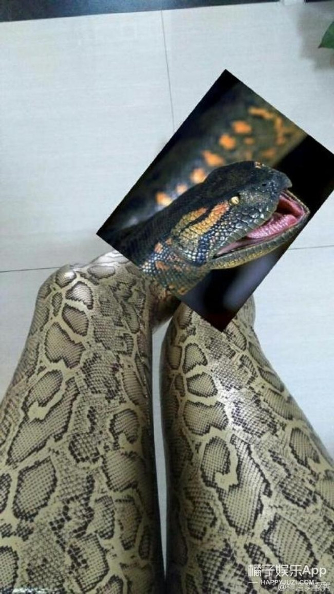 Sản phẩm quần tất họa tiết da rắn thu hút sự chú ý rất lớn của các chị em phụ nữ. Trên trang taobao - website bán hàng trực tuyến hàng đầu Trung Quốc, chiếc quần này bán khá chạy và nhận được rất nhiều phản hồi của khách hàng.