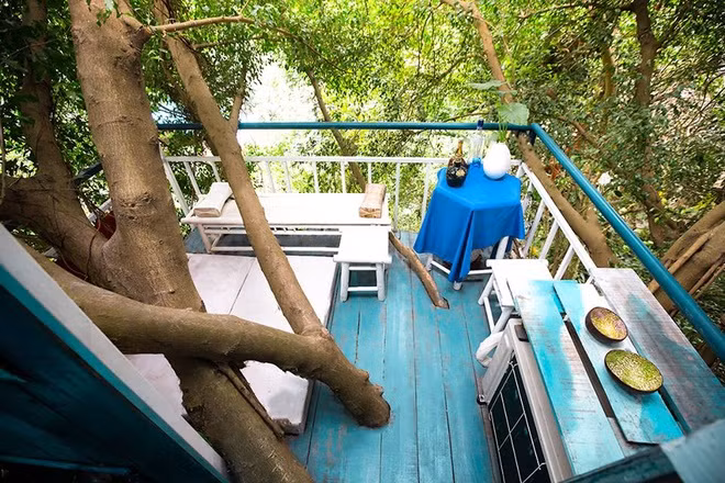 Lấy ý tưởng từ những ngôi nhà trên cây xuất hiện trong phim ảnh, đặc biệt là Tazan, nghệ sĩ Đào Anh Khánh đã thực hiện những ngôi nhà của mình. Mỗi nhà cây đều có thiết kế riêng nhưng điểm chung là hòa quyện với thiên nhiên, mang đến bầu không khí trong lành, thư thái, giúp du khách tránh xa ồn ào, khói bụi và tận hưởng giây phút thư giãn.