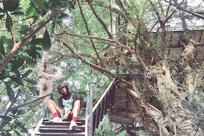 Ảnh sử dụng trong bài: Đào Anh Khánh.