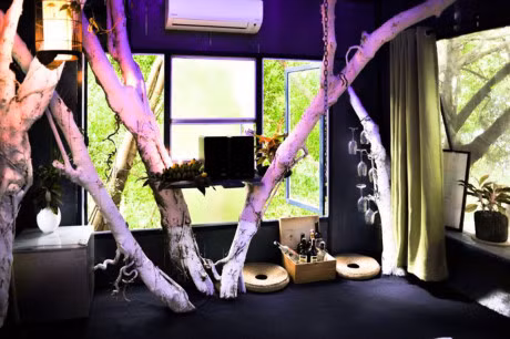 Theo quan sát, các ngôi nhà cây ở đây được xây dựng trên 3 cây gỗ lớn với diện tích từ 20 m2, nhiều cửa sổ để đón ánh sáng tự nhiên khắp xung quanh.