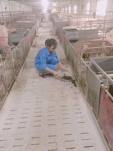 Hot girl chăm lợn, dọn chuồng từng khiến nhiều dân mạng phải ngưỡng mộ. Ảnh trong bài: Sưu tầm Facebook.