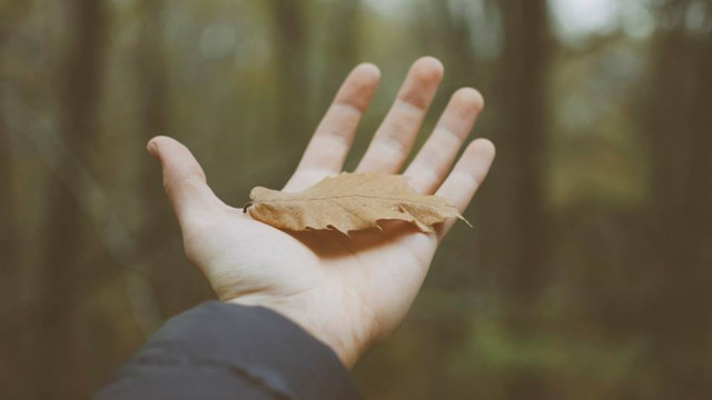 Tu vi thang 9 day bien dong cua 12 cung hoang dao