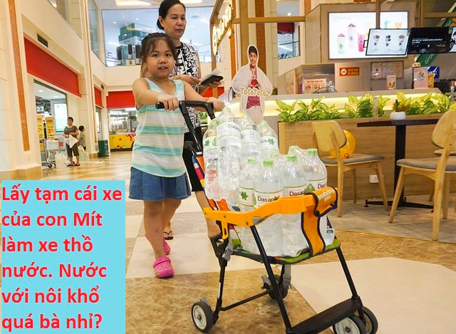 Mọi phương tiện có bánh đều được chưng dụng làm xe thồ nước.