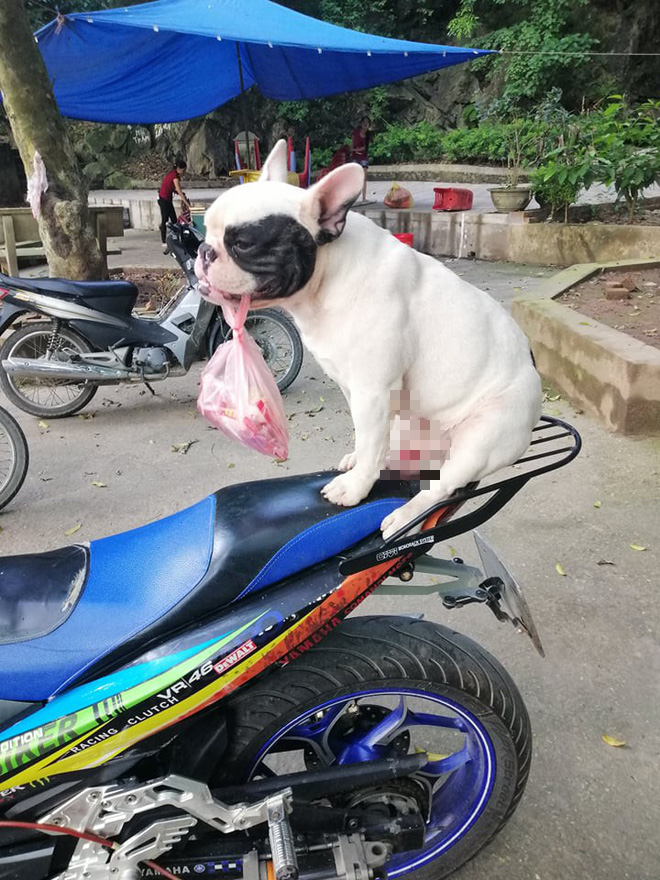 Ở nhà, Ủn có riêng một góc để bày biện thành quả của mình sau mỗi ngày "làm việc". Khi thấy vỏ chai lọ nhiều quá, gia chủ sẽ mang biếu những người vô gia cư hoặc các cô ve chai lớn tuổi.