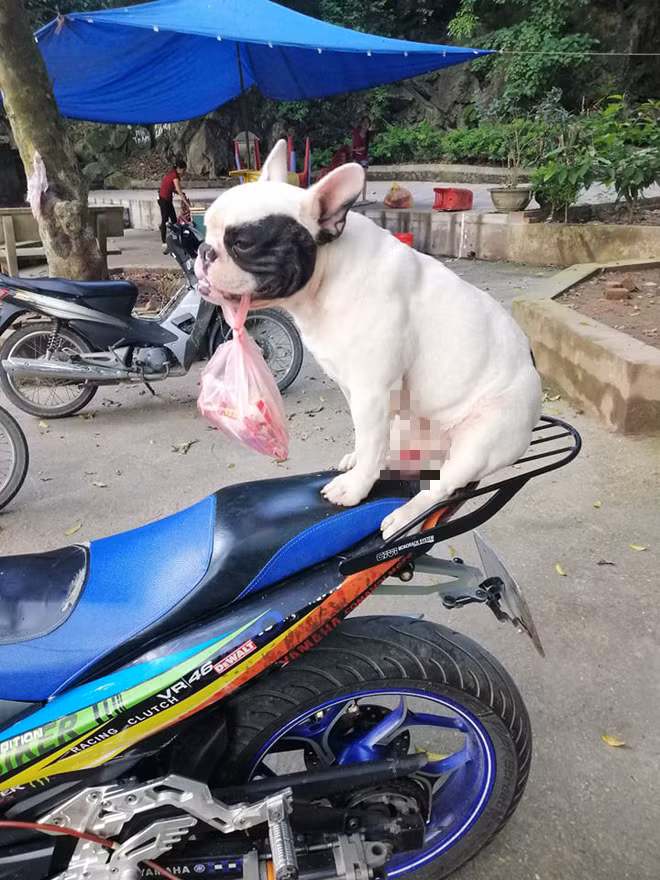 Ở nhà, Ủn có riêng một góc để bày biện thành quả của mình sau mỗi ngày "làm việc". Khi thấy vỏ chai lọ nhiều quá, gia chủ sẽ mang biếu những người vô gia cư hoặc các cô ve chai lớn tuổi.