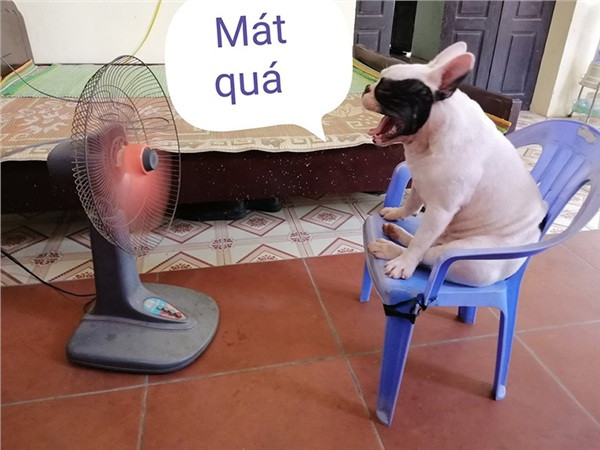 Nickname M.H bình luận: "Ủn giỏi ghê, em xứng đáng nhận bằng khen về bảo vệ môi trường đó. Mong rằng em sẽ truyền cảm hứng cho mọi người cùng chung tay hạn chế rác thải nhựa!" còn nickname L.A chia sẻ: "Yêu em quá! Vừa ngoan vừa thông minh".