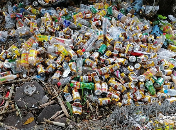 Nếu bạn đang nghĩ, thói quen tha vỏ lon nhựa về nhà là do chủ dạy thì sai bởi tất cả đều do chú chó này tự giác thực hiện.