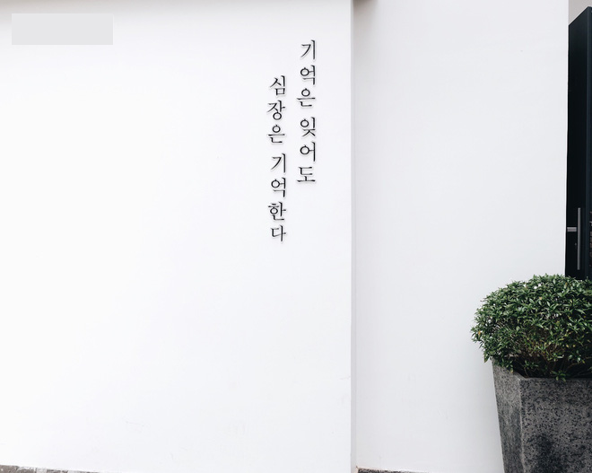 Theo nhận xét của nhiều bạn trẻ: "Bức tường trắng ở Đà Lạt là background hoàn hảo cho mọi style. Không cần diễn vẫn có ảnh "deep" nhưng bạn cũng có những bức ảnh cực chất chẳng kém gì những người mẫu lookbook đình đám".