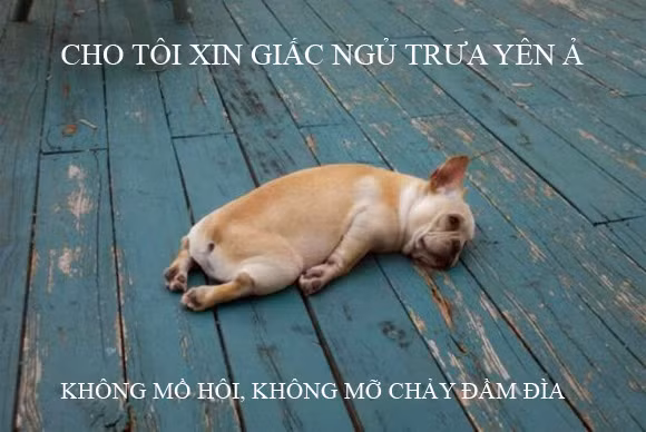 Một giấc ngủ trưa đầm đìa mồ hôi và ướt đẫm người là điều thường xuyên xảy ra trong những ngày hè nóng nực này.