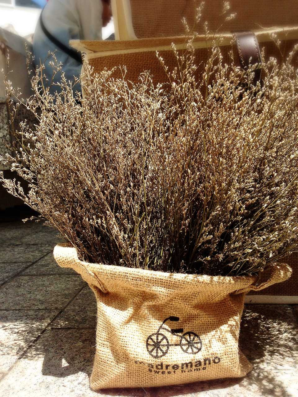 Những loại hoa khô này giữ được trong thời gian khá lâu tượng trưng cho tình yêu bất diệt chỉ với 100 ngàn đồng. Đây cũng là trọn được các đấng mày râu hỏi nhau để tìm mua trong ngày Quốc tế phụ nữ.