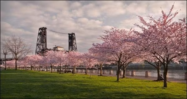 Portland, một trong những thành phố xanh nhất nước Mỹ. Thành phố này sẽ khoác lên mình lớp áo màu hồng mỗi dịp xuân sang. Với hàng trăm cây Anh Đào được trồng để tưởng nhớ những người bị bắt vào các trại giam giữ trong Thế Chiến II.