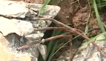 Can lam ro viec cot dien do hang loat sau bao o Ha Nam