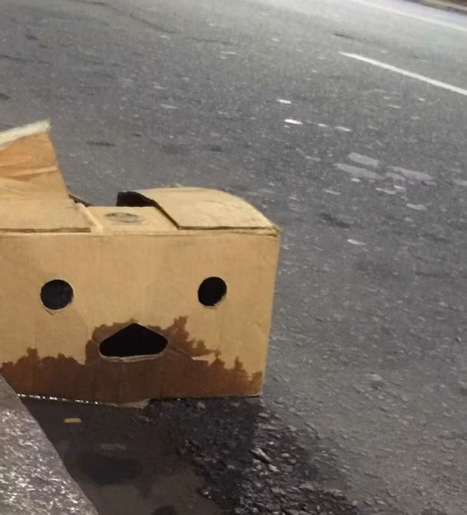 Chiếc hộp này không hài lòng về việc bị ướt