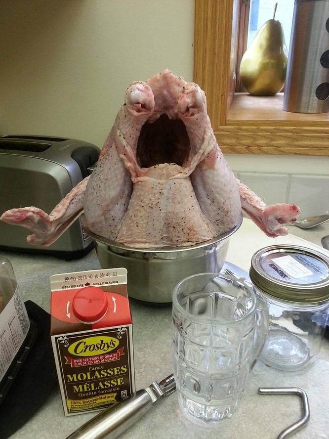 Một con gà tây đang giận giữ! Hình ảnh độc cho những ai giàu trí tưởng tượng.