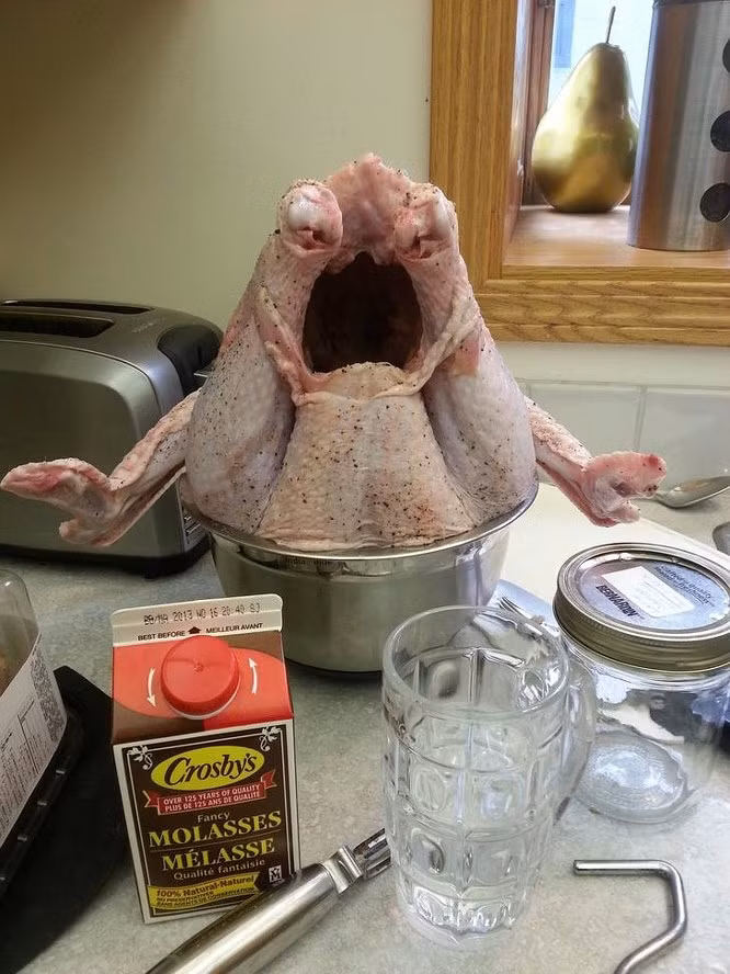 Một con gà tây đang giận giữ! Hình ảnh độc cho những ai giàu trí tưởng tượng.