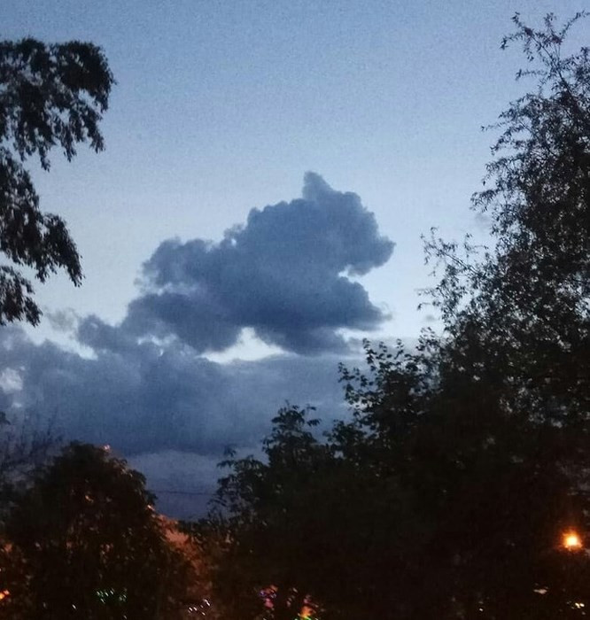 Đám mây kia trong giống con chó hay con gấu nhỉ?