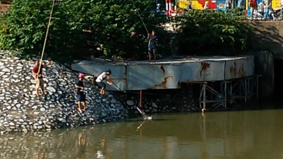 Cần thủ này phải nhờ sự trợ giúp của "đồng nghiệp" mới có thể đưa được con cá lớn lên bờ.