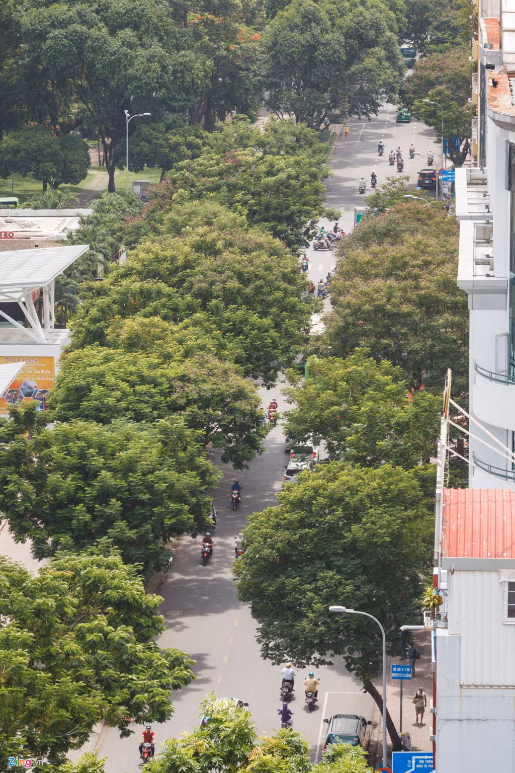 Đường vào khu chợ rợp bóng cây, một mặt giáp đường Phạm Ngũ Lão, một mặt giáp đường Lê Lai, kề cận với khu phố Tây Bùi Viện, cách chợ Bến Thành chỉ 10 phút đi bộ, Sense Market đáp ứng đa dạng nhu cầu mua sắm, giải trí của khách hàng trong nước và của khách du lịch quốc tế.