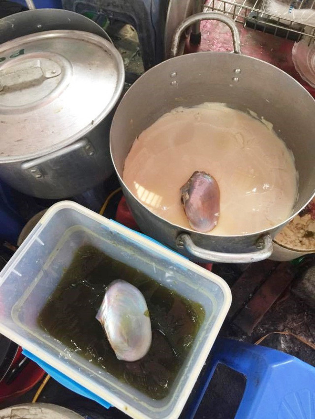 Những mảnh vỏ chai cỡ lớn làm xúc là kí ức một thời.