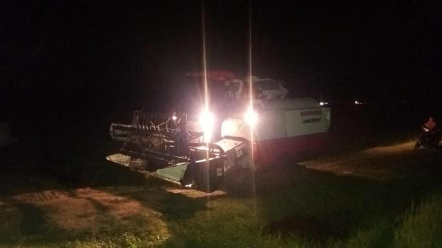 Chuyen “nguoc doi” o xu Nghe: Nhung canh dong chi nhon nhip ve dem-Hinh-3