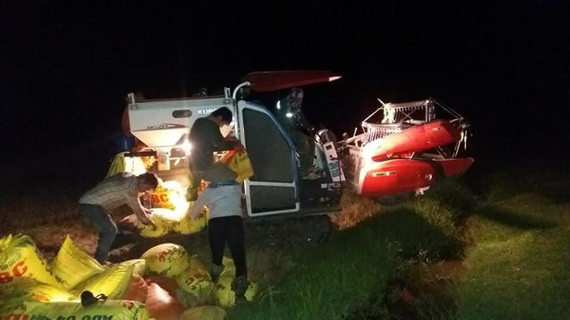 Chuyen “nguoc doi” o xu Nghe: Nhung canh dong chi nhon nhip ve dem-Hinh-2