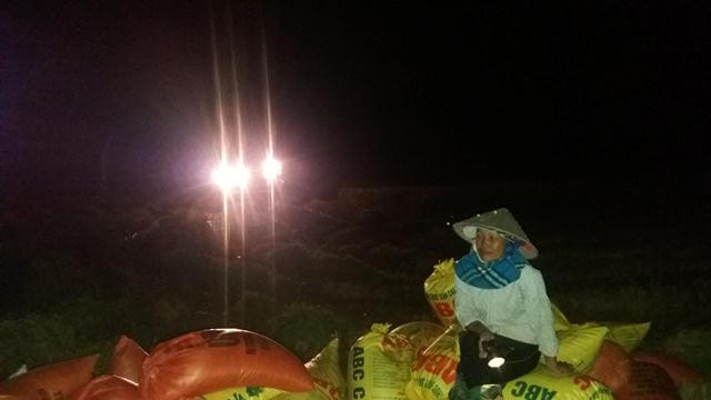 Chuyen “nguoc doi” o xu Nghe: Nhung canh dong chi nhon nhip ve dem