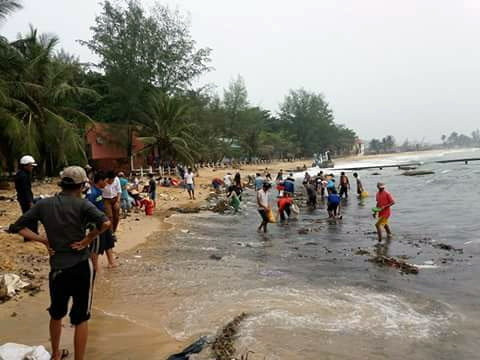 Sung sot canh hang ngan con hai sam dat vao Phu Quoc