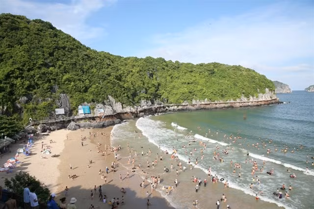 Bãi biển Trà Cổ thuộc thành phố Móng Cái (Quảng Ninh). Nơi đây được đánh giá là một trong những bãi biển đẹp nhất của Việt Nam. Bãi biển Trà Cổ hấp dẫn du khách bằng làn nước mát lạnh và trong xanh không kém gì thiên đường biển Nha Trang.