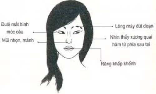 Dac diem 6 hang nguoi deu gia ban can can trong