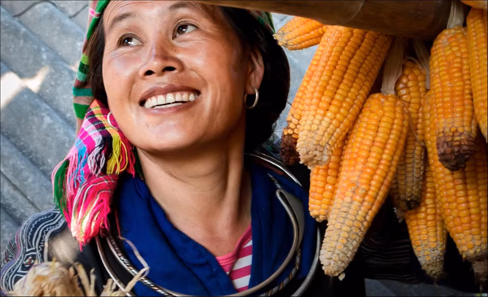 Niềm vui hiện rõ trên khuôn mặt của một phụ nữ dân tộc Mông khi đang treo những bắp ngô vàng óng lên mái nhà. Bức ảnh thể hiện sự ấm no hạnh phúc của đồng bào dân tộc vùng cao, qua đó cho thấy sự thay đổi và phát triển từng ngày ở vùng sâu, vùng xa của Tổ quốc. Ảnh: Nguyễn Đức Tuệ.