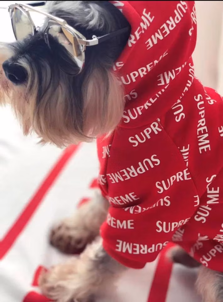 Nhiều bạn trẻ có mắt thẩm mỹ và chút kỹ năng may vá đã mở cửa hàng kinh doanh thời trang cho chó mèo. Đây là nguồn thu nhập khá lớn và giúp họ thỏa mãn đam mê. Theo khảo sát các trang mạng phục vụ thời trang cho vật nuôi, giá của bộ cánh có thể giao động từ vài chục ngàn cho tới vài trăm ngàn VNĐ.