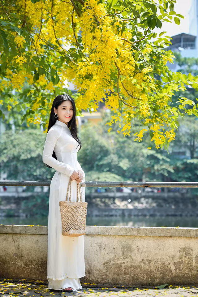 Sau khi được nhiều người biết đến trên mạng xã hội, hot girl 9X Kim Khánh bắt đầu nhận được nhiều lời mời đi chụp ảnh. Lần này, Khánh ra Hà Nội thực hiện bộ ảnh mang ý tưởng người đẹp bên hoa muồng hoàng yến cùng với nhiếp ảnh gia Lê Xuân Bách.